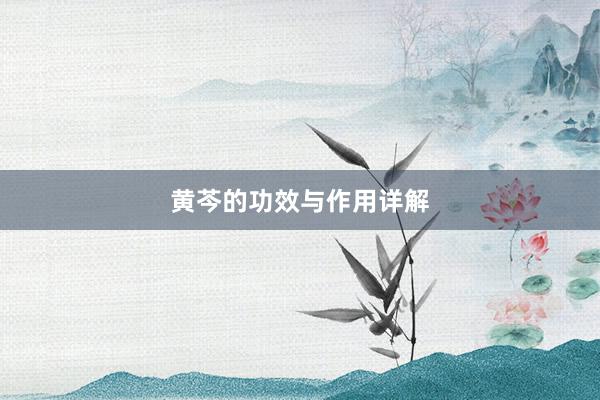 黄芩的功效与作用详解