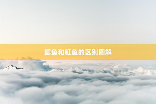 鳐鱼和魟鱼的区别图解